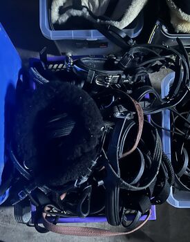 Pferdezubehör Viele Marke vertreten  Viele Modelle Vertreten 