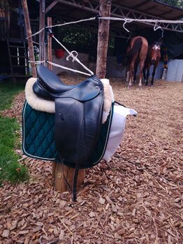 Pfiff Amaretto 17,5 Dressursattel, Pfiff Amaretto, Haigis Bronner, Dressage Saddle, Meßstetten 1