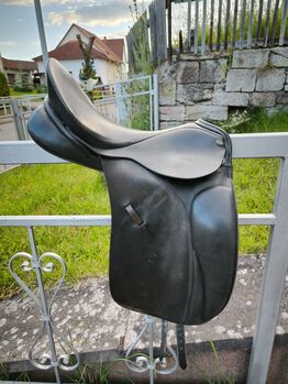 Pfiff Amaretto DS abzugeben! Pfiff  Amaretto 