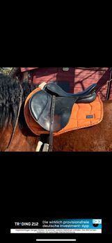 Pfiff VS Sattel 18 Zoll & 34 Kammerweite, Pfiff Beauty, Laura Steinbach , All Purpose Saddle, Kerpen 