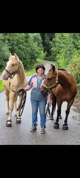 Pflegebeteiligung, Regine Schürz, Reitbeteiligungen, Edt bei Lambach