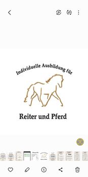 Physio-Riding® Seminare, Tanja Schneider, Courses & Seminars, Losheim Am See