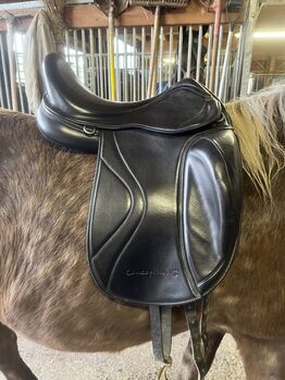 Physioflex Conception IS, Physioflex/Horsemade Conception IS, Erika Karoline Gruber, Icelandic Saddle, Tamsweg 