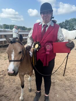 Beautifully marked yearling filly