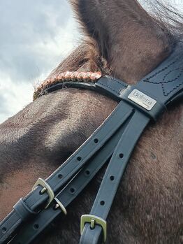 Wunderschöne Trense von Bellora Equestrian (schwarz und rosa) Bellora Equestrian