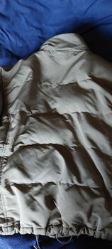 Pikeur Jacke und Reithosen gr42 bis44