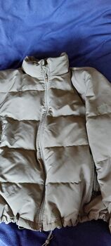 Pikeur Jacke und Reithosen gr42 bis44, Bianca , Breeches & Jodhpurs, Paderborn