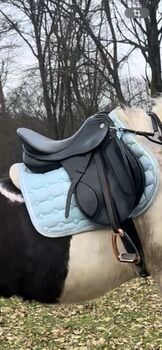 Kiefer Vs Sattel 17 Zoll, Kiefer Vs Sattel , Lilli, Girths & Cinches, Schmalenberg