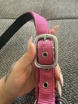 Pinked Crownhorse Halfter Gr.Cob
