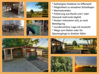 Platz im Offenstall frei, Nadine, Horse Stables, Sommersberg