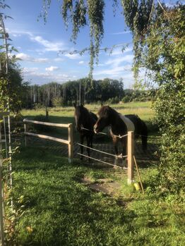 Platz im Offenstall frei, Christina , Stallplätze, Odenthal 
