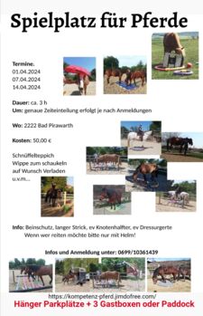 Spielplatz für Pferde, Bernadette, Courses & Seminars, Bad Pirawarth