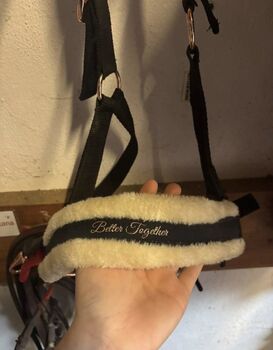 Teddyfleece-Halfter Better Together von Showmaster, Showmaster, Alina , Kantary, Mattersburg