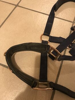 Kappzaum Cob Showmaster