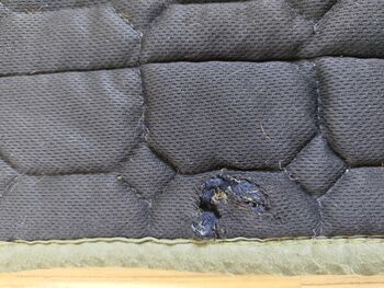 Felix Bühler Dressurschabracke + Bandagen Felix Bühler 