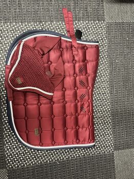 Schabracke mit Fliegenhaube Felix Bühler 