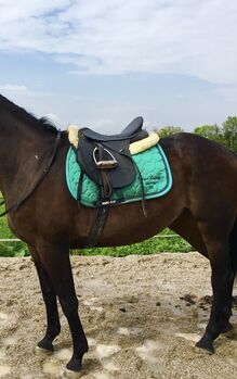 Schabracke mit passender Fliegenhaube Euro Star 