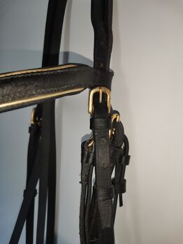 Kandare schwarz gold Warmblut Keine