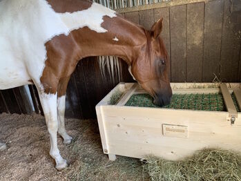 Heubox Slowfeeder Heuraufe Pferd Pony Neu Der Holzbock Slowfeeder