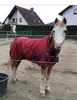 Ponyregendecke, Privater Anbieter , Derki dla konia, Solms