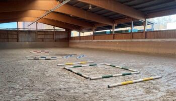 Stangenarbeit - Gymnastizierung für Pferd und Reiter