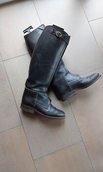 Polo Reitstiefel Damen