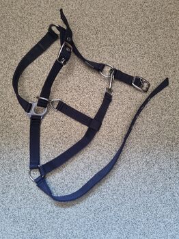 Pony head collar