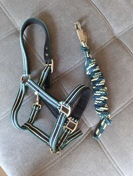 Halfter Pony