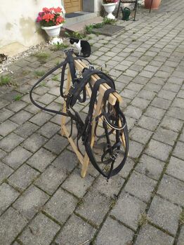 Pony /Shetty Geschirre, Ines Metzler, Horse Harness, Limbach-Oberfrohna