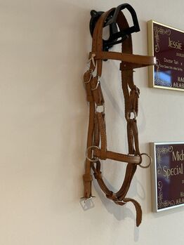 Pony Sidepull, Susanne , Bitless Bridles, Bad Schussenried Dunzenhausen