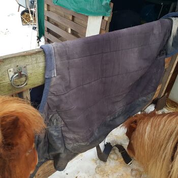 Pony Decke, Horse-friends, Hope, Horse Blankets, Sheets & Coolers, Wolfenbüttel