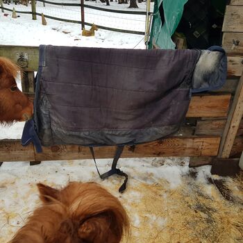 Pony Decke Horse-friends