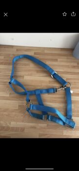 Pony Halfter Blau, Celine S., Halters, Kaarst