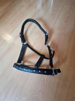 Pony Lederhalfter Neu Cheval de Luxe Lederhalfter Adelaide