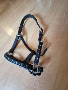 Pony Lederhalfter Neu Cheval de Luxe Lederhalfter Adelaide