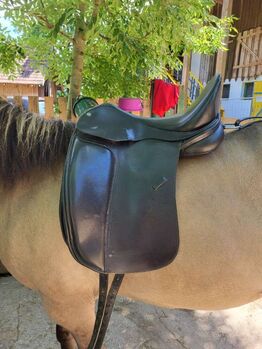 Ponysattel für kurze Rücken, Claridge House Pony Haflinger, Karina Fischer, Dressage Saddle, DROBOLLACH 