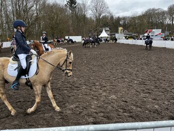 Pony zur Verfügung gesucht, Anna, Pferd kaufen, Schierensee