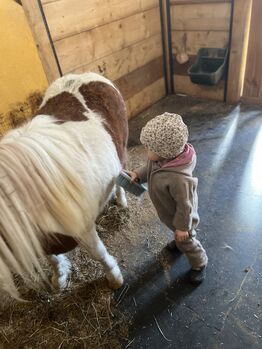 Pony Wallach Enzo