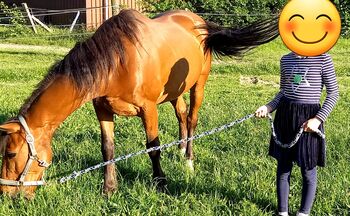 Pony Wallach Freizeit Gelände, Bianca , Pferd kaufen, Dortmund