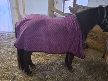 Abschwitzdecke Pony 105 CM, Waldhausen, Marina , Horse Blankets, Sheets & Coolers, Häselgehr 