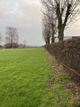 Ponybox Box frei Stallfrei 44627, LR, Stallplätze, Herne