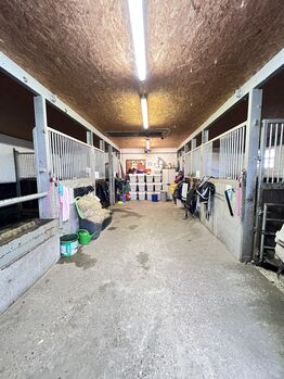 Ponybox Box frei Stallfrei 44627