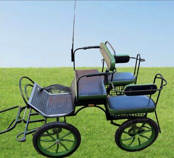 Ponykutsche Shettykutsche Einspänner Zweispänner, Antje, Carriages, Erxleben
