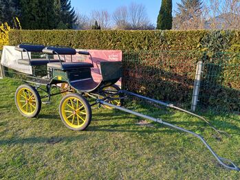 Ponykutsche Trainingswagen Wagonette Luftbereifung, Double J Ranch , Kutschen, Luckenwalde