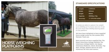 Portable horse weighing platform Equi 3 