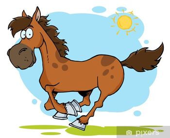 Stallplatz gesucht, Simone, Padok, Stockelsdorf