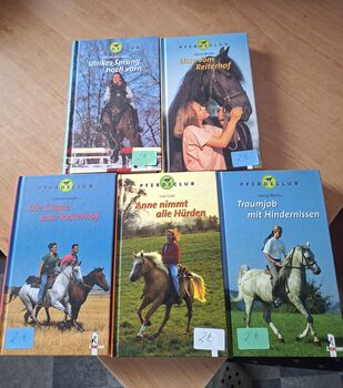 Pferd Romane zu verkaufen