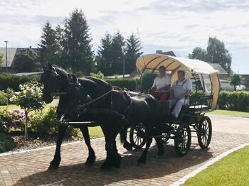 Kutsche / Planwagen, Patricia, Powozy konne, Kalbe Milde