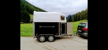 Schöner 2er Anhänger, Wörmann Meyer , Alfred , Horse Trailers, Obernberg am Brenner