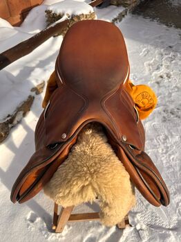 Premium 17” Leather Saddle – Elegant Craftsmanship & Superior Comfort, Tony, Springsattel, Los Angeles